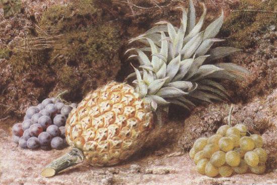 A Pineapple and Grapes on a mossy Bank (mk37), John Sherrin